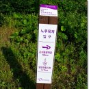 외씨버선길(조지훈문학길) 이미지