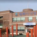 평택-안중-안중-12 이미지