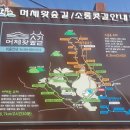 치유의숲 공중화장실 이미지