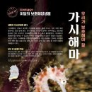 해마