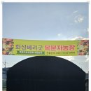 향남농장 | 화성 향남 슈퍼복분자 체험농장 후기