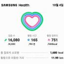 10월4일날만보인증 16,080보12.11km 누계4,312,649보에 거리3,275.77km를 회룡포푸른하늘과개 미취꽃이볼거리제공 이미지