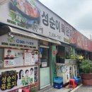 성순이 묵은지 이미지