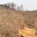 바베큐가이즈 이미지