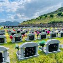 생태명가 이미지