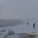 진고개목장 이미지