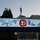 팔딱팔딱회포차 이미지