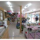 삼덕애견 이미지