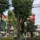 [일상] 건대입구에서 데이트 - 모츠커피, 대박치킨 그리고 경성양꼬치