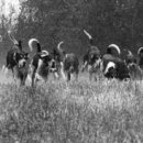 화이트 앤 블랙 이미지