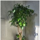 선플란트치과의원 이미지