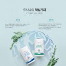 퀸마케팅 이미지