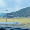 거장산 야영장 매점 | 경남 의령 거장산오토캠핑장 아이와 놀기좋은 캠핑장추천 명당자리추천