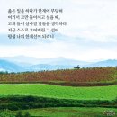 홈캉스 조식.. 이미지