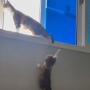 스토리방방 이미지