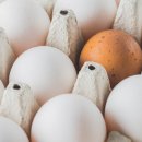 갈색 달걀 vs 흰색 달걀, 건강에 더 좋은 달걀은? 이미지