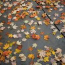 종로안경 이미지