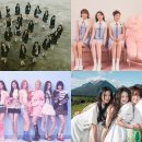 드림피프티