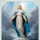 생명의 기쁨 이미지