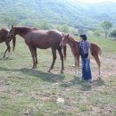 유정목장 이미지