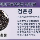 그로우업 이미지