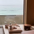 중문오션스테이 | 반려견동반 안목해변 강릉오션뷰펜션 스테이 안목을담다 내돈내산