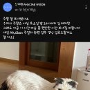 2025.2.23 안재현스토리(출처 AHNJAEHYEON) 이미지