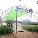 보리울마을 이미지