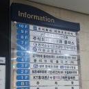 강동역 미용실 모발클리닉 효과 이철헤어커커 강동역점 루잇클리닉 후기