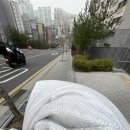 봄봄봄 봄이왔어요!!! 다들 이불빨래 하셨어요? 크린토피아 애오개점 코인워시 이불빨래 후기/가격 ★