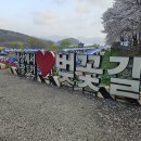 2023 대청호 벚꽃길 마라톤 대회 | 대전 대청호 벚꽃길 마라톤 후기｜10km 페이스메이커 60분 완주 + 꿈돌이 메달까지!