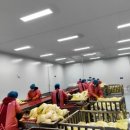 한림푸드 이미지