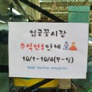 부산 엄궁동 화훼 단지 갔다 온 후기!(+꽃 시장 / 경매)