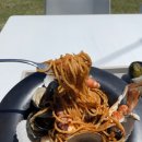 노바운더리 이미지