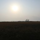 사하구-03 이미지