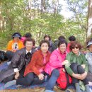 녹색농원 이미지