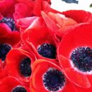 크린 스마트 이미지