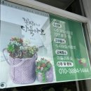 다육공방 네이버블로그