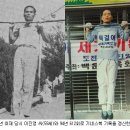 턱걸이 세계신기록.jpg 이미지