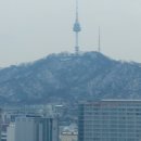 크루즈얼라이언스주