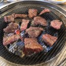 달구벌종합유통 | 2018 연말, 2019 신년 윰이 일상