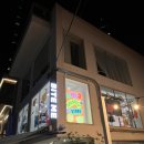 반려인 | 성수 서울숲점 바잇미 오프라인 매장 후기, 반려인 쇼핑 스팟 추천