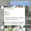 1220 | W.05 로즈앤모어 플라워디렉팅 (짝꿍코드 1220이한빈) 계약후기 (베이직, 시안, 가격)