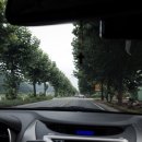 성현농장 | 청주/대전 인근 계곡 사담계곡 성현농장에서 물놀이(아기랑 가기 좋은 계곡) 리코gr2