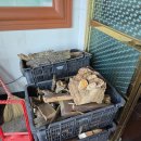 박여사식당 | 태안의 맛집~! 반려동물 입장 가능한 박대박 맛집!