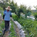 효림농장 이미지