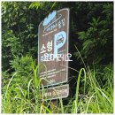 남조로사려니숲길 앞 이미지