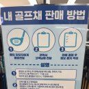 문경 의성 입문용 여성 골프채 풀세트 다이와 엘파 구매 후기