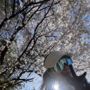 이글 | 그린힐CC 날씨 공사 상태 첫 이글 주말 라운딩 후기