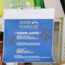 무인24시애견용품도그마캣안산 | 파주 24시 무인 애견용품점 도그마캣 해오름마을점 방문후기